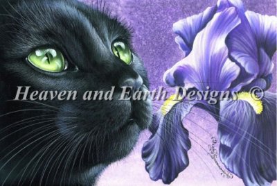 Diamond Painting Canvas - Mini Purple Iris